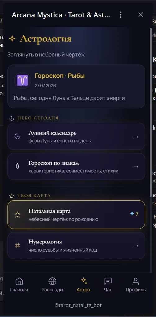Arcana Mystica — скриншот 3